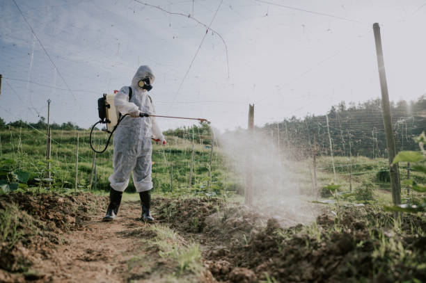 Best Commercial Pest Control Services  in Monette, AR