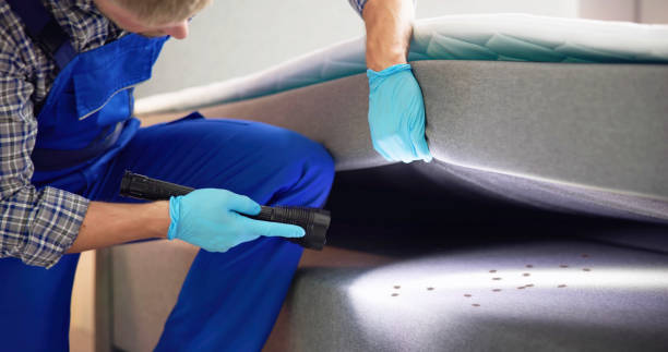 Best Affordable Pest Control Services  in Monette, AR