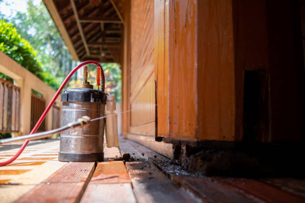 Best Pest Control for Homes  in Monette, AR