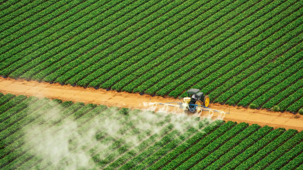 Best Pest Prevention Services  in Monette, AR