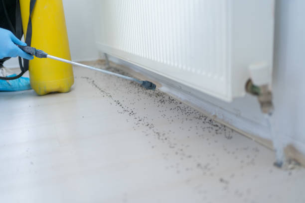 Best Exterminator Services  in Monette, AR