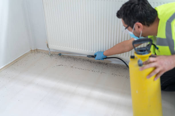 Best Emergency Pest Control  in Monette, AR